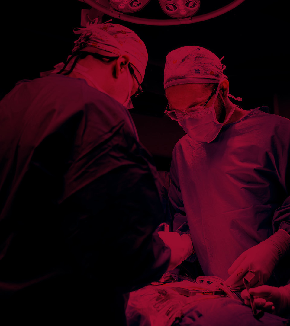 26septbullcoveraorticweb-4960x1080.jpg
