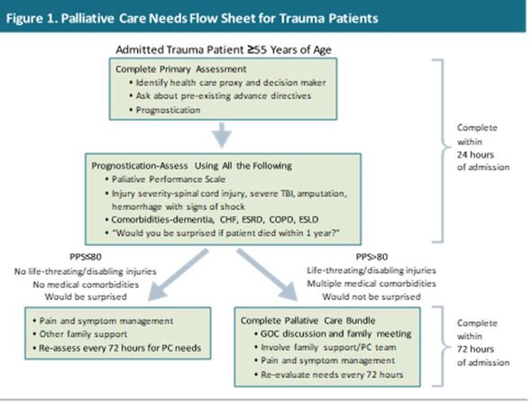 Using the Palliative Performance Scale as a Trigger to Increase Goals ...