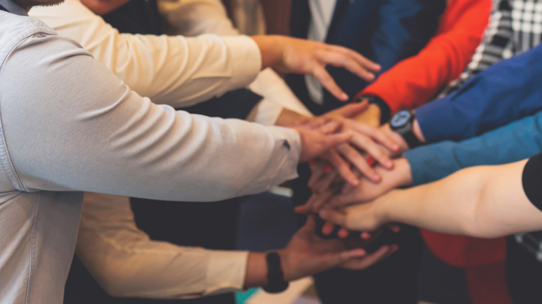 Partner and Volunteer Spotlight