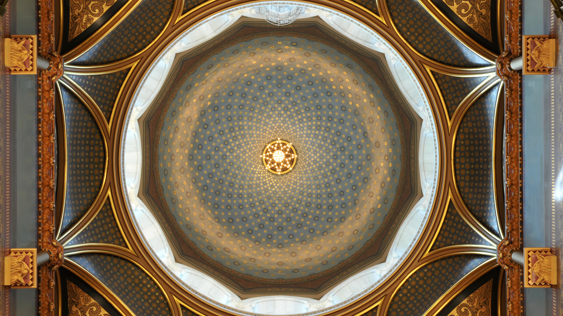 Surgeons Lead State Efforts to Protect Patients, Profession