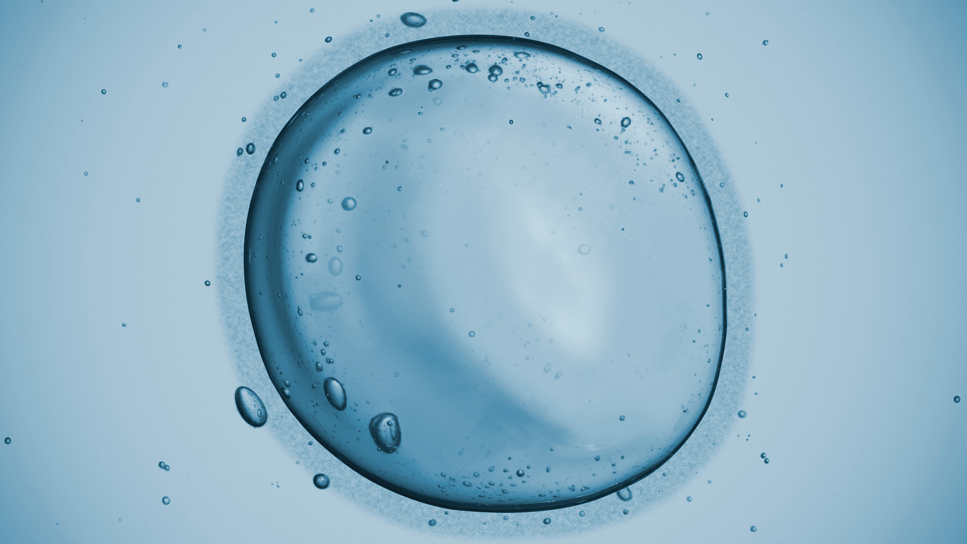 ACS Fosters Workplace Support for Surgeons Building Careers and Families