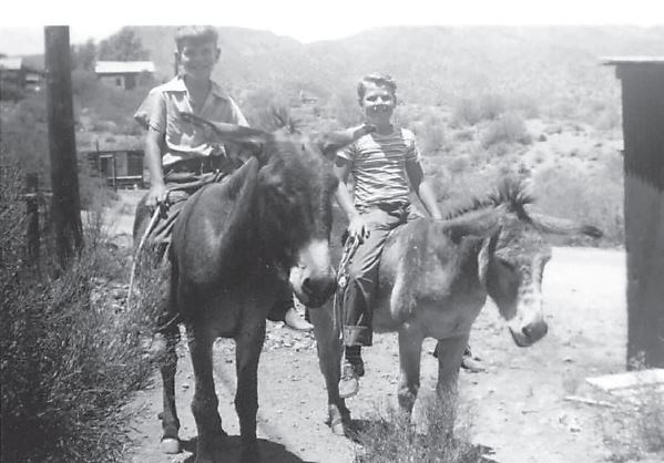 Norm Rich (right) and Bill Brandt riding burros in Ray, AZ, 1946.