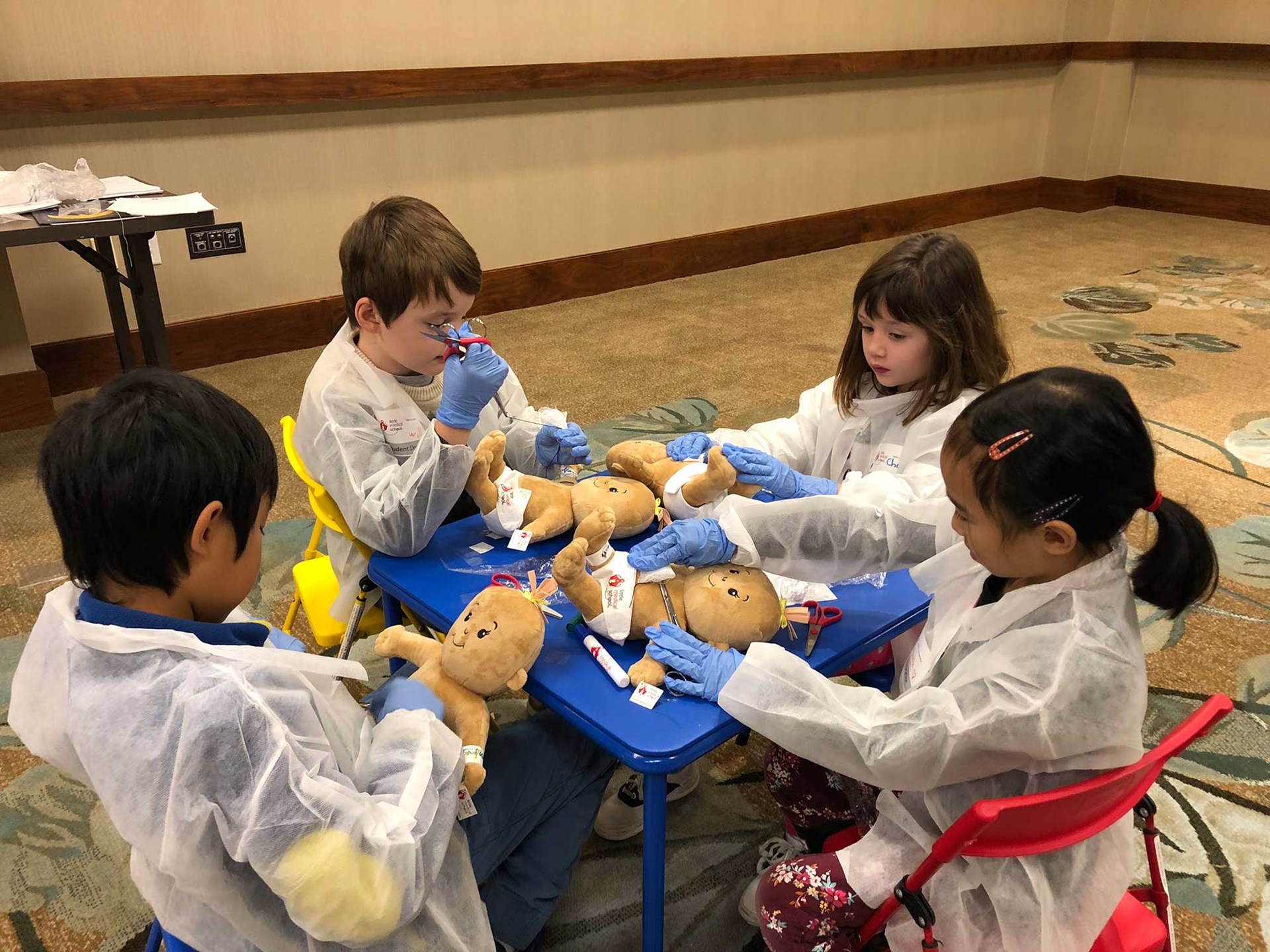 Little Medical School