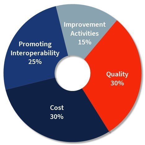 2023 MIPS Categories Breakdown