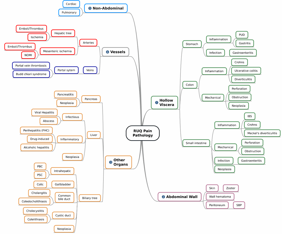 Figure 4. Mind map