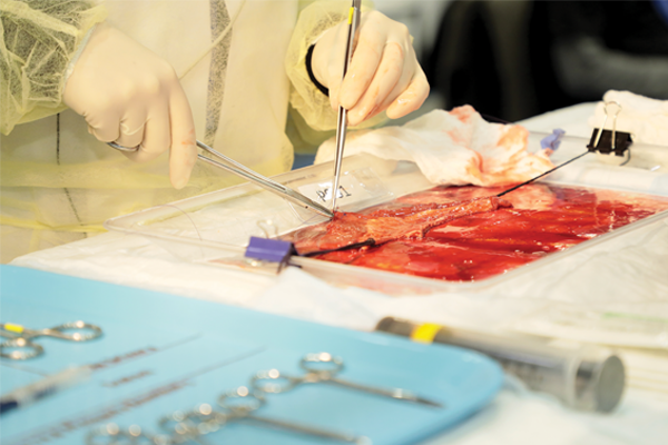 Surg Metric Slideshow3