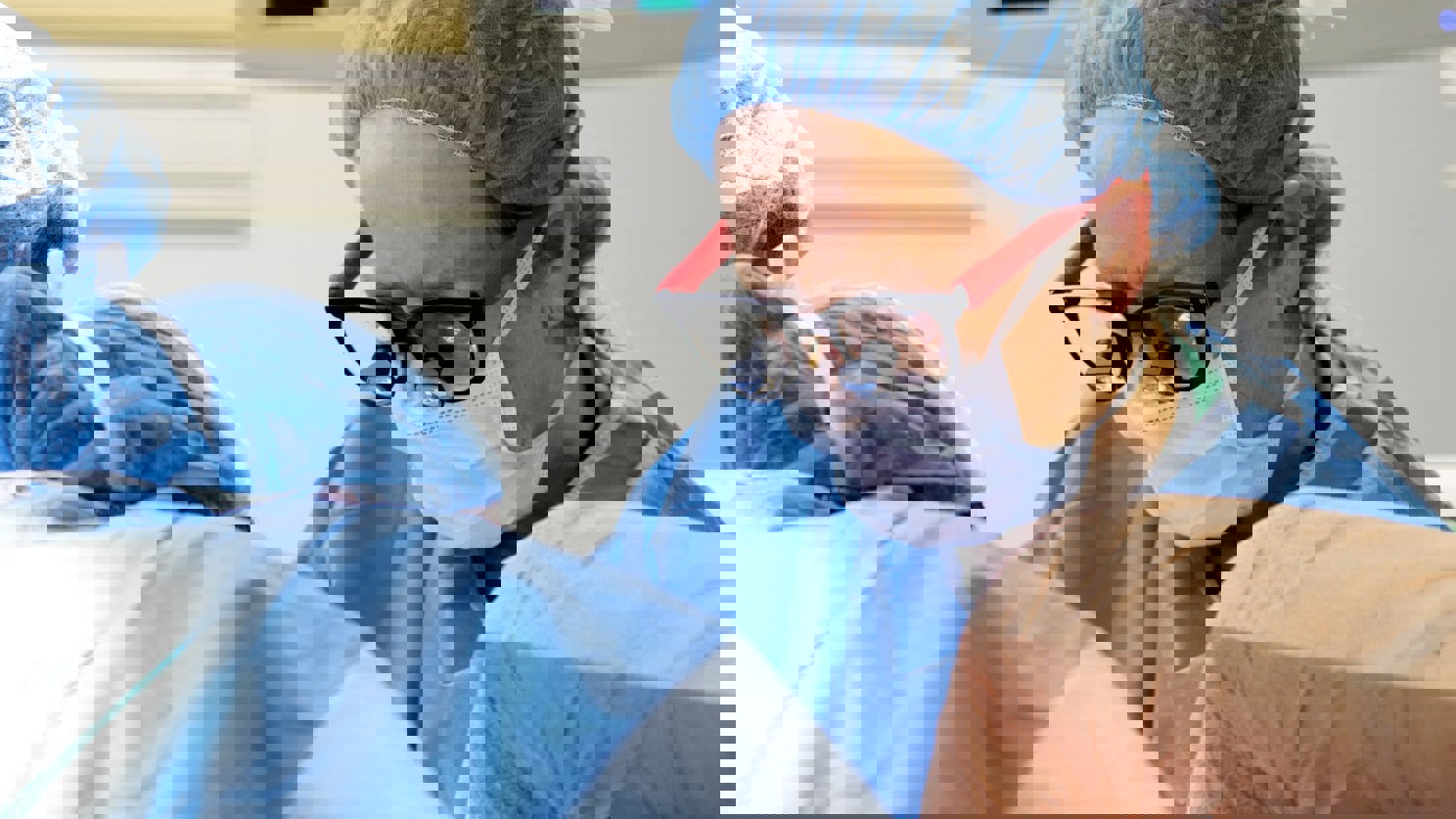 ACS Past-President and Trailblazer Dr. Julie Freischlag Describes Her Path to Becoming a Chair