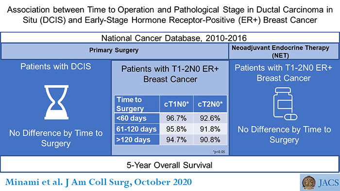 Association between Time to Operation and Pathological Stage in Ductal Carcinoma in Situ (DCIS) and Early-Stage Hormone Receptor-Positive (ER+) Breast Cancer