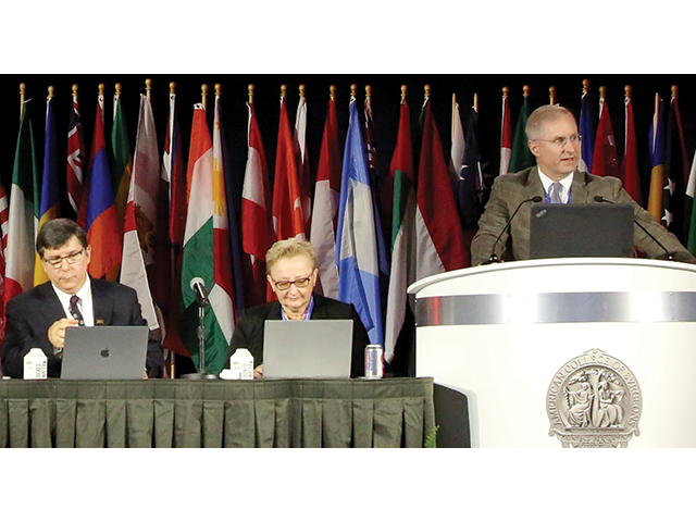 Cc2019 Story Slideshow37