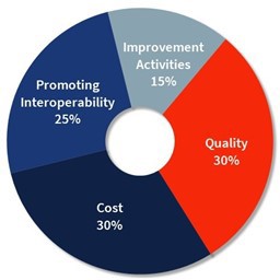 2025 Merit-based Incentive Payment System | ACS