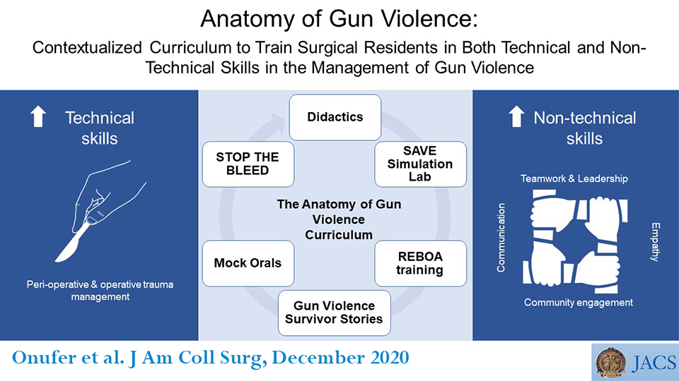Anatomy of Gun Violence