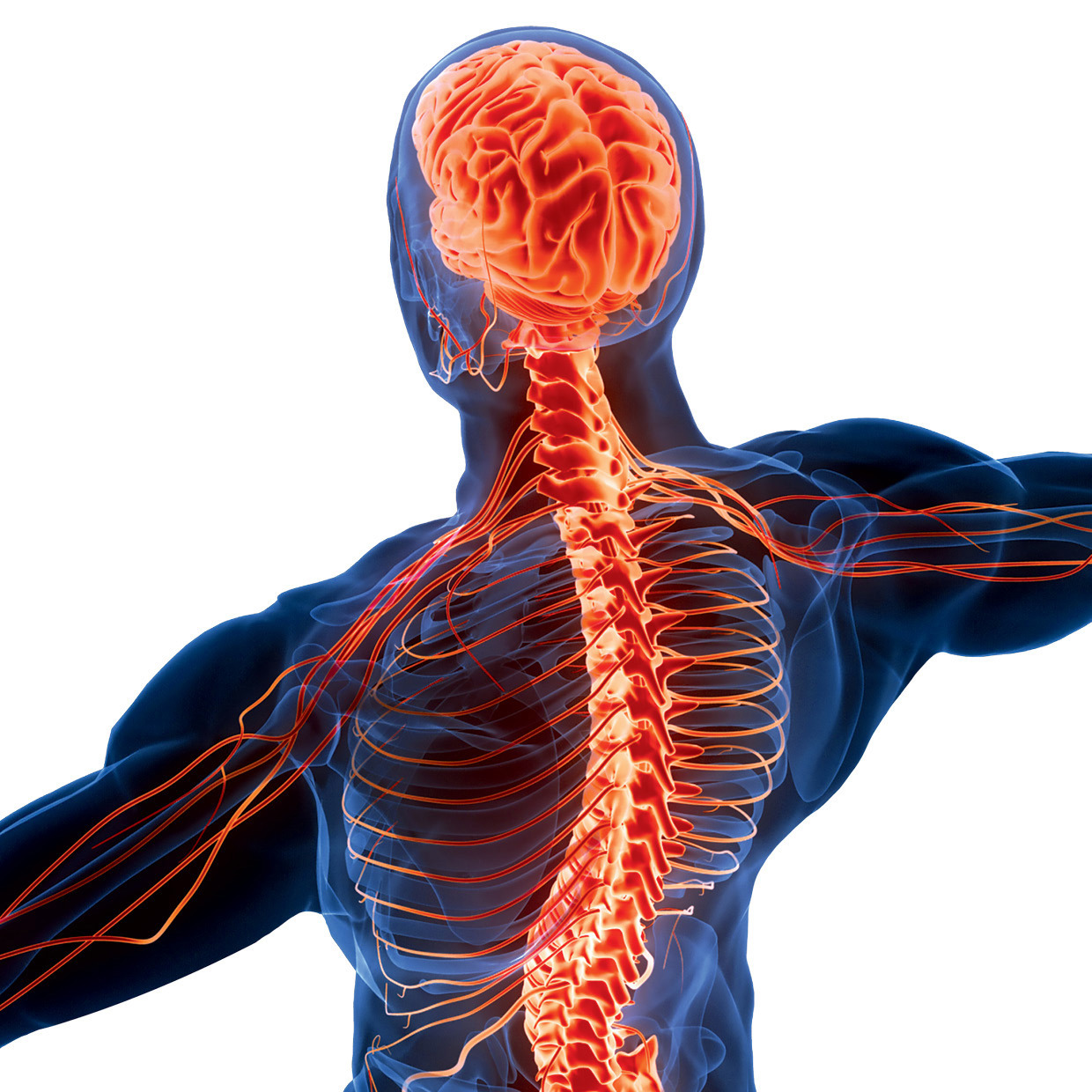 AI Is “Rewiring” Neurosurgery Through Clinical Decision Support