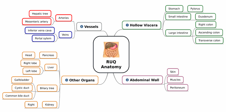 Figure 3. Creating secondary branches for your mind map