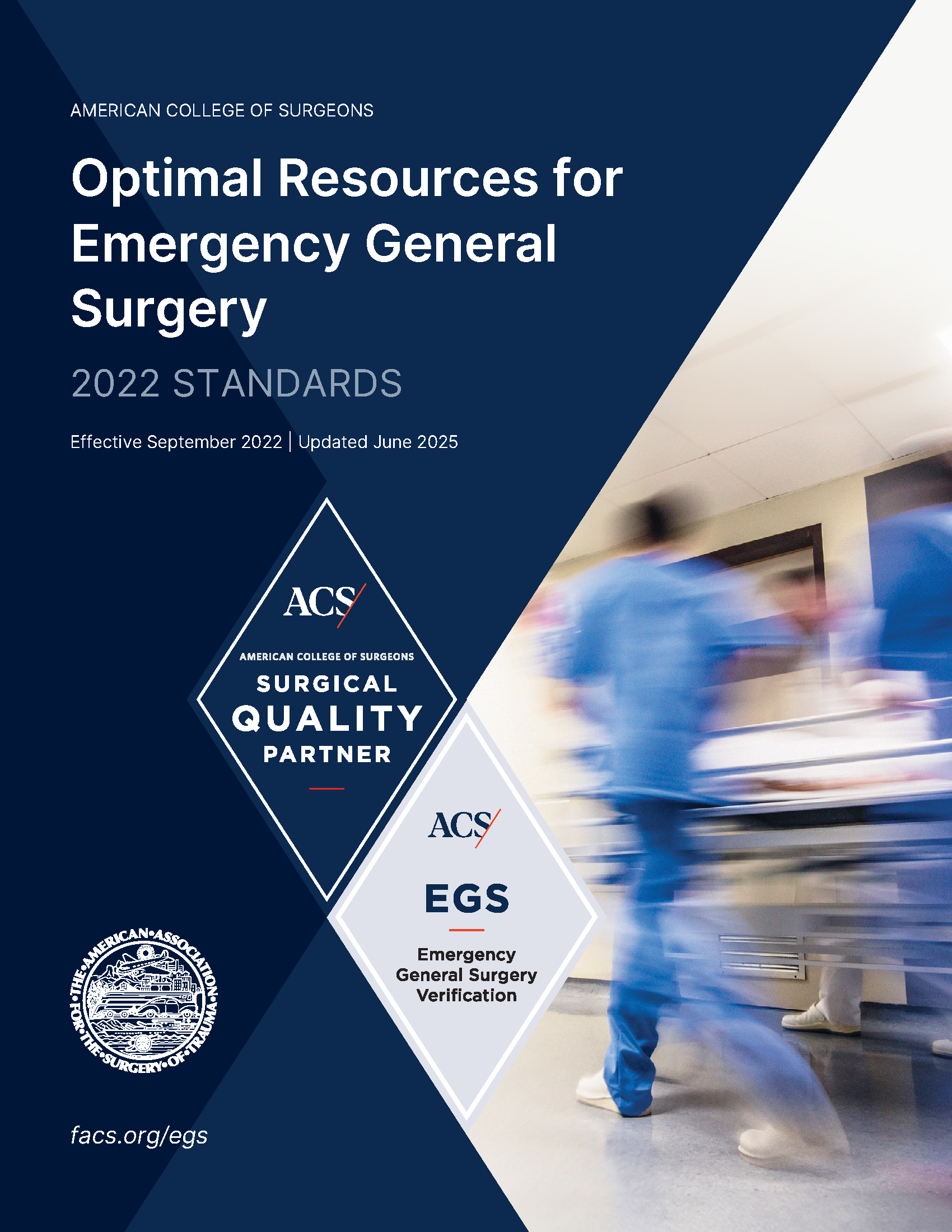 Egs Program Emergency General Surgery Program Standards | ACS