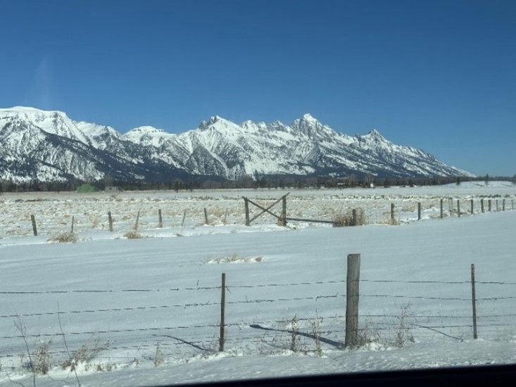 Regional Collaboration and Camaraderie Define Western Chapter Meeting