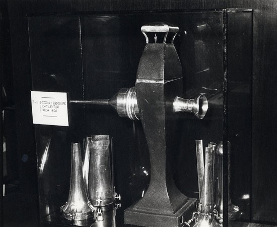 The Bozzini Lichleiter