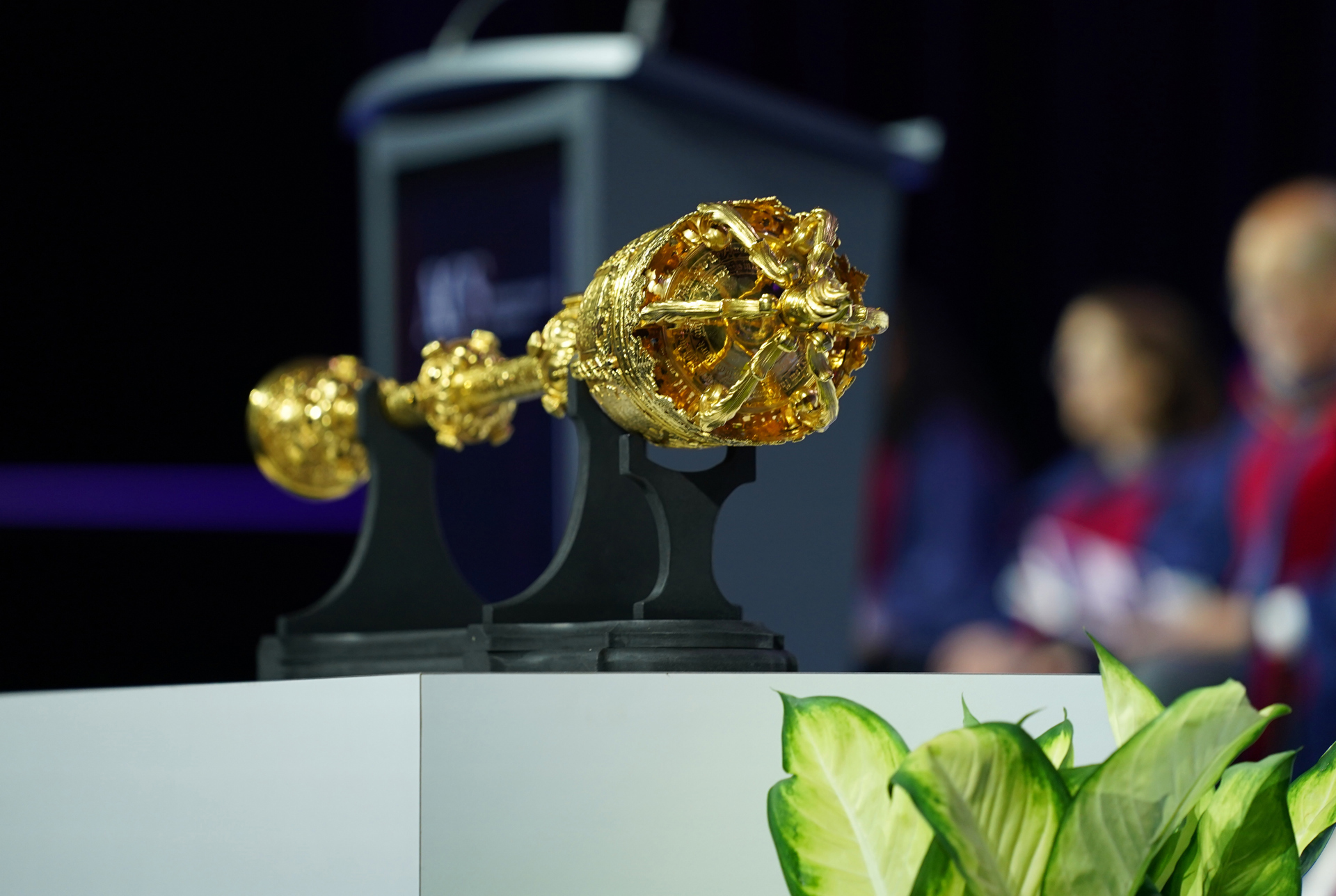 Surgeon Leaders and Contributors Are Recognized with ACS Awards