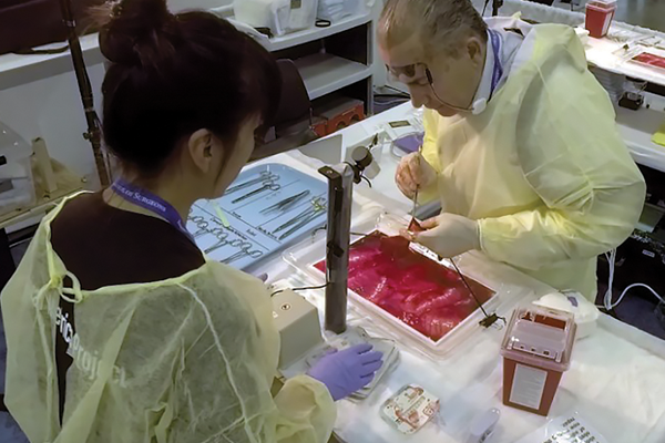 Surg Metric Slideshow7