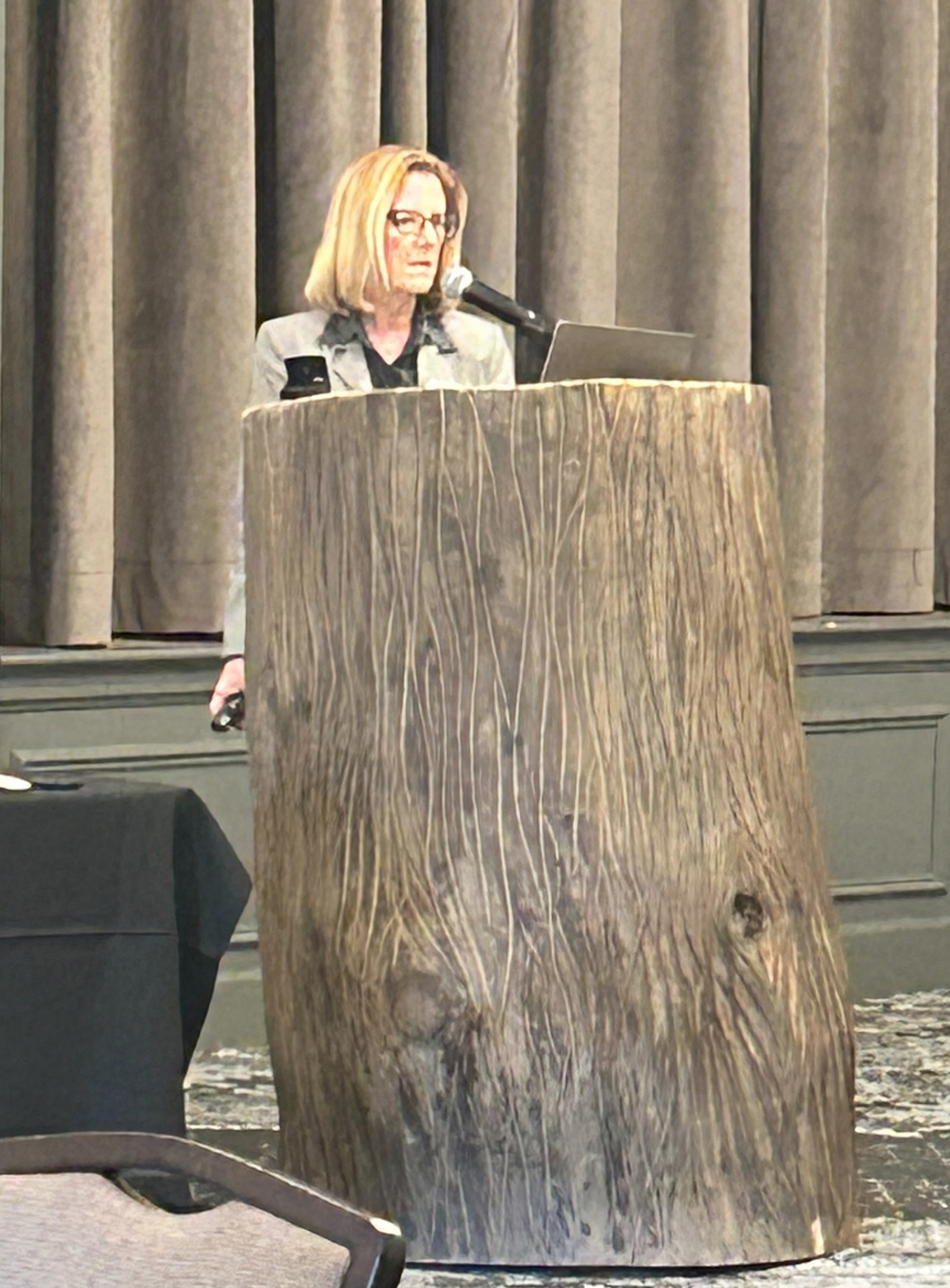 Rural Surgery, Resident Innovation Define Maine ACS Meeting