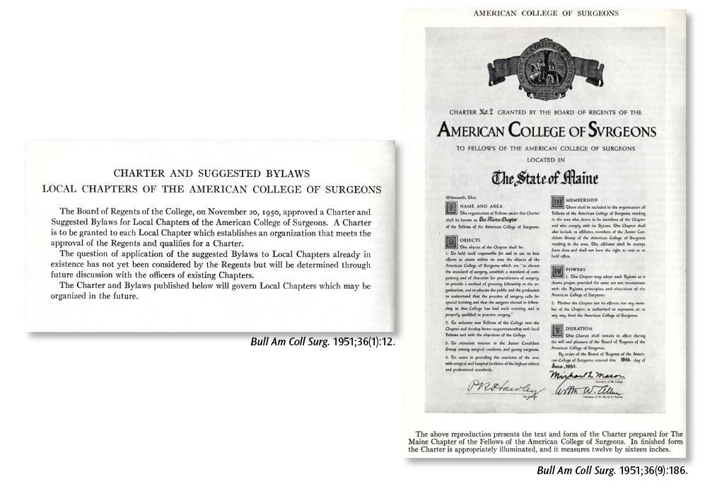 Figure 1. Proposed chapter charter and bylaws