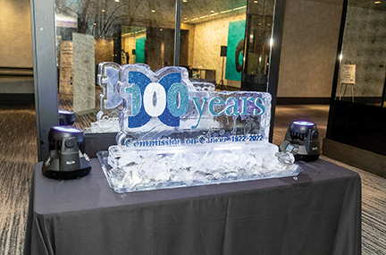 WEB Ice Sculpture ACS03222201 004