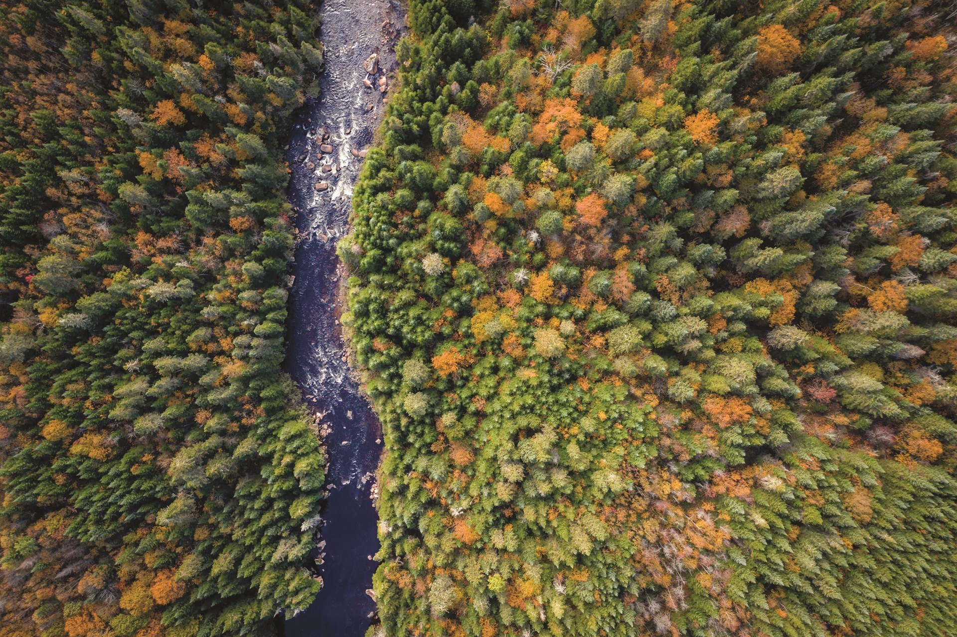 Improving Care for Rectal Cancer Patients in Rural Canada