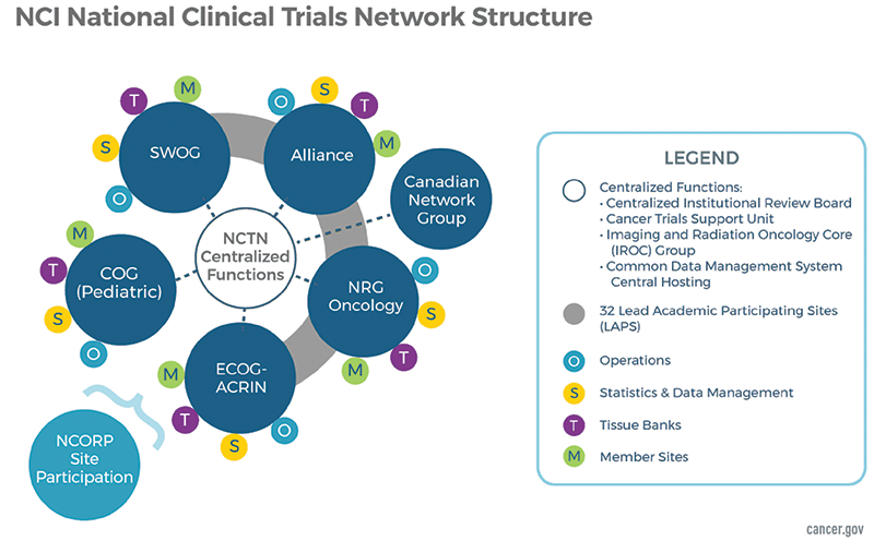 Figure 1. NCI NCTN structure